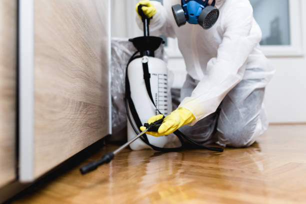 Best Residential Pest Control  in Meadview, AZ